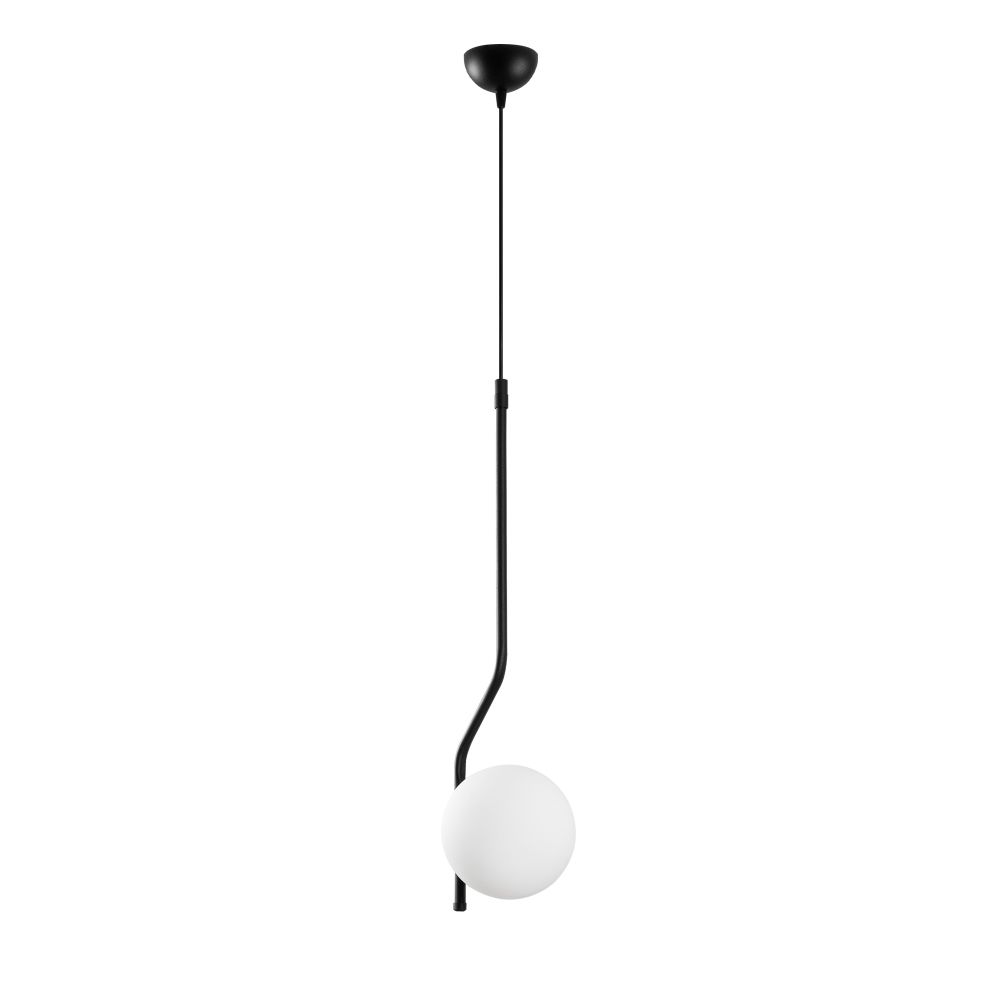 Tulıp - 13818 Crni Luster slika 5