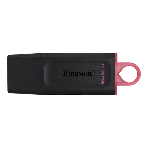 Flash USB 256 GB Kingston 3.2 Exodia DTX/256GB slika 1