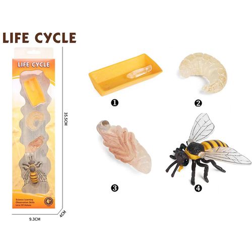 Pertini Životni Ciklus Pčele Set Od 4 Dela slika 2