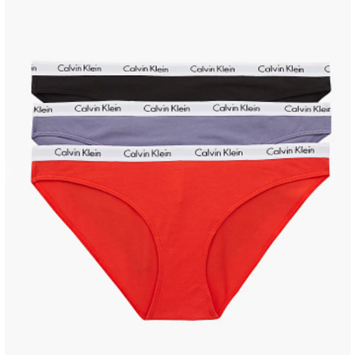 Calvin Klein ženski donji veš 3 Pack Bikini Briefs - Carousel 000QD3588E1CX slika 1