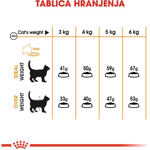 ROYAL CANIN FCN Hair & Skin, uravnotežena potpuna hrana za odrasle mačke, za njegu i nutricionističku potporu dlake i kože, 2 kg slika 5