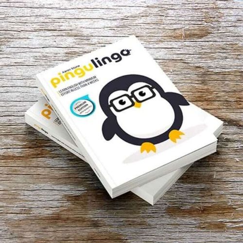 Pingulingo - Sistem za učenje engleskog jezika slika 5