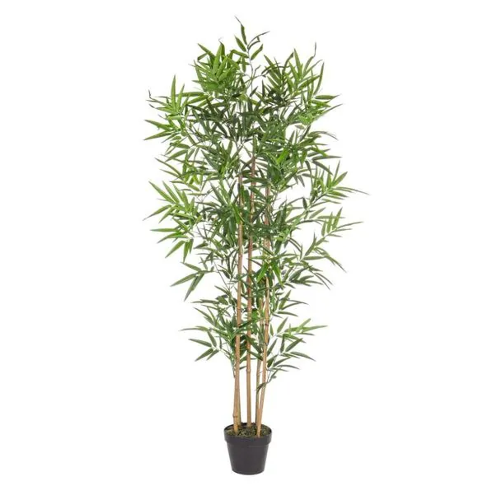 Bizzotto Bambus 155 cm u saksiji PVC slika 1