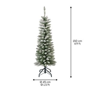 Novogodišnja jelka Pencil Pine Showy 150cm