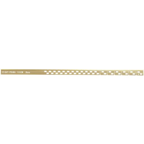 Letva za tuš kabinu 100cm Brush Gold slika 4