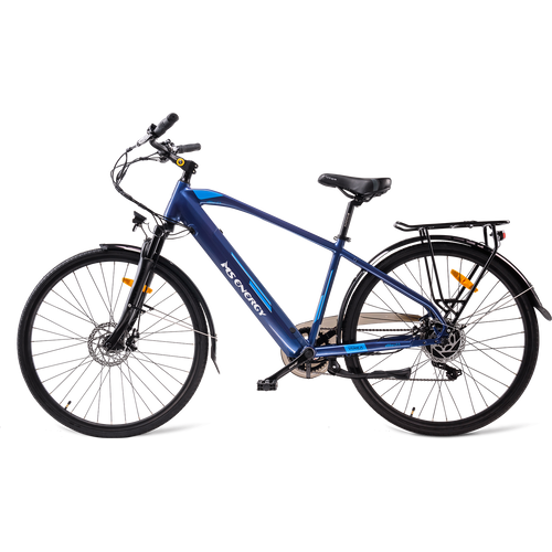 MS ENERGY eBike c11_L size slika 1