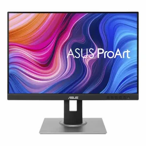 Asus ProArt PA248QV Monitor 24.1"