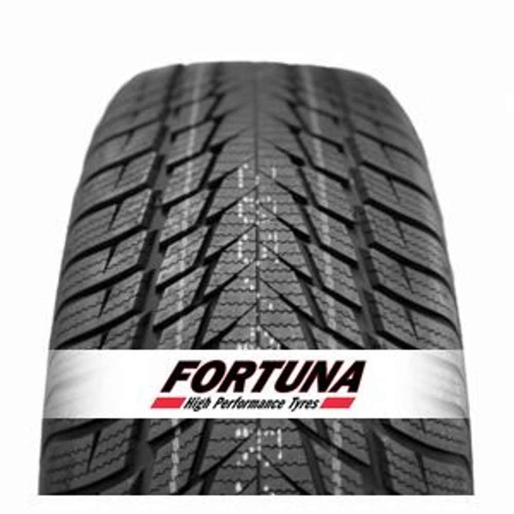 FORTUNA Zimska guma 255/40R19 100V XL Gowin UHP2 slika 1