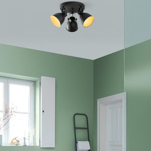 Luster Spotkafası – 13788 – Crna Boja
