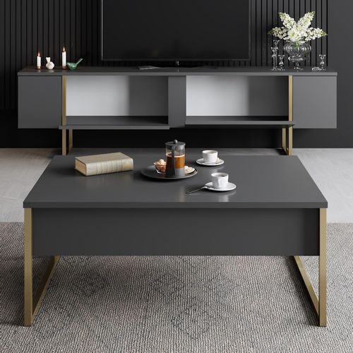 Woody Fashion Komoda za TV, Luxe - Anthracite, Gold slika 5