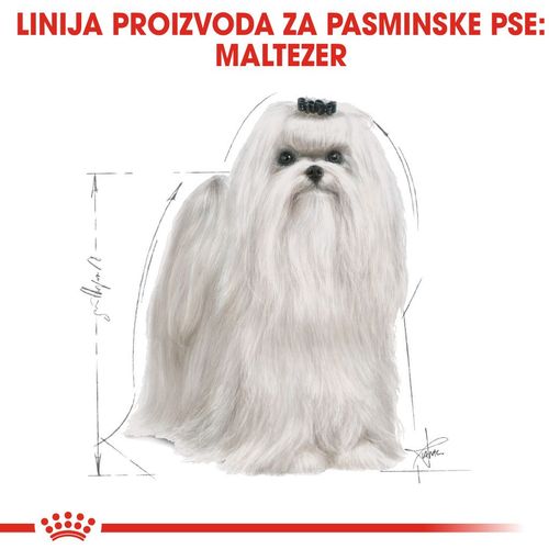 Royal Canin hrana za pse Maltese Adult 1.5kg slika 5