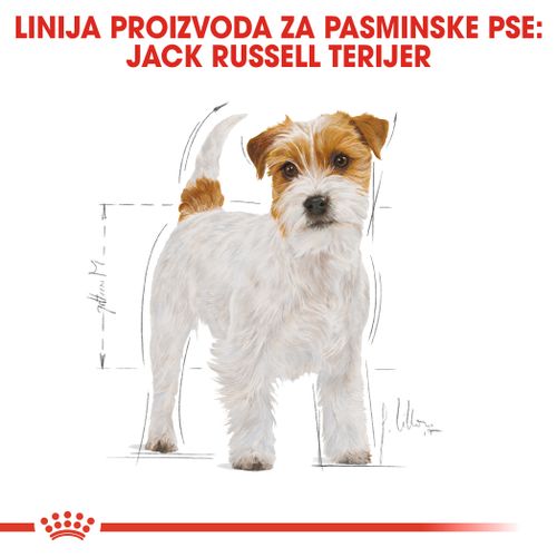 ROYAL CANIN BHN Jack Russel Adult, potpuna hrana za odrasle Jack Russel Terijere starije od 10 mjeseci, 1,5 kg slika 4