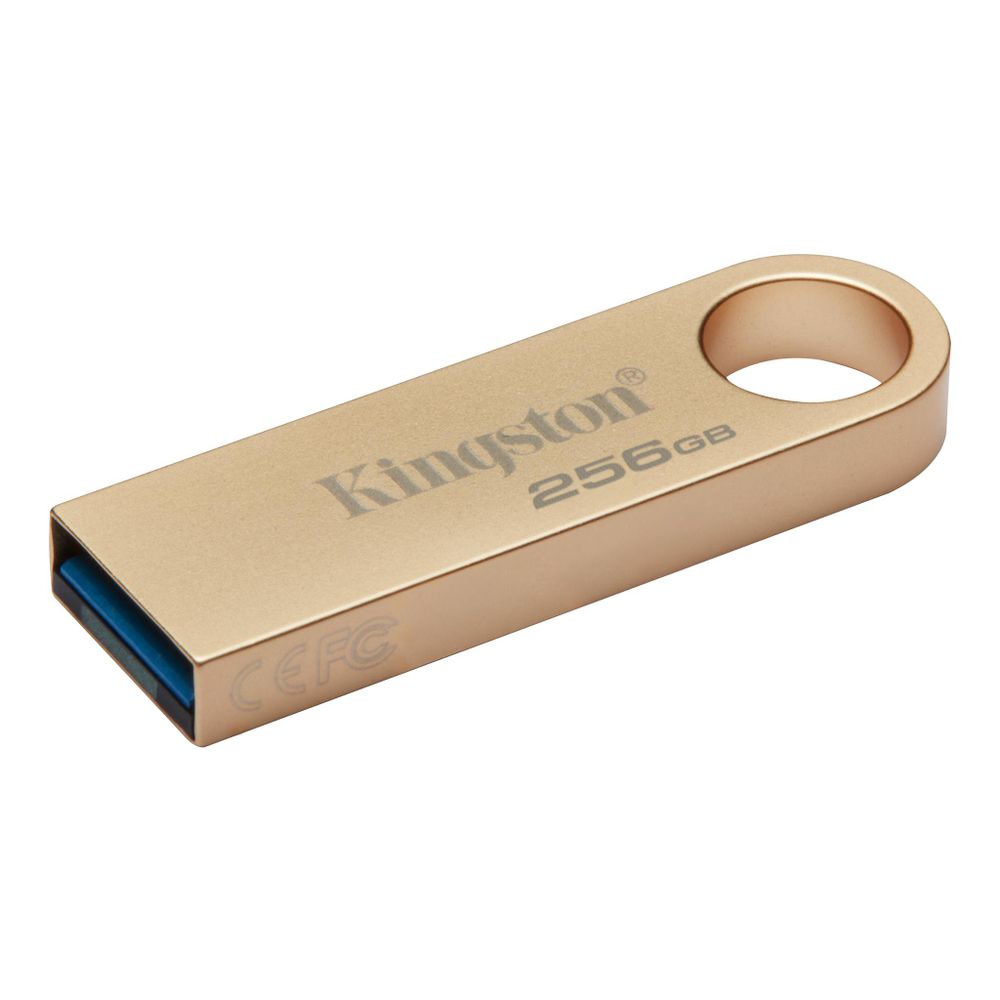 Kingston FD 256GB USB3.2 SE9 slika 1