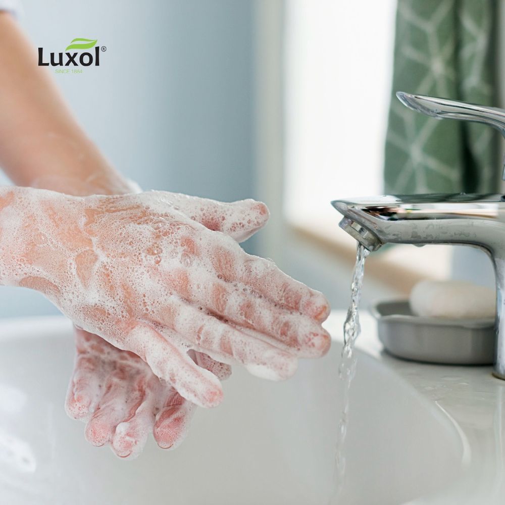 Luxol Čvrsti sapun Herbal Aloe 100gr slika 3