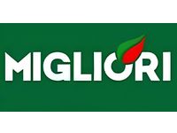 Migliori