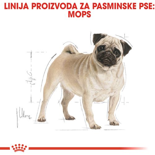 ROYAL CANIN BHN Mops Adult, otpuna hrana specijalno prilagođe na potrebama odraslih i starijih mopseva, 3 kg slika 4