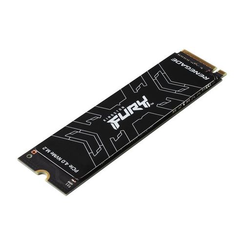 SSD.M.2 500GB FURY Renegade SFYRS/500G slika 1