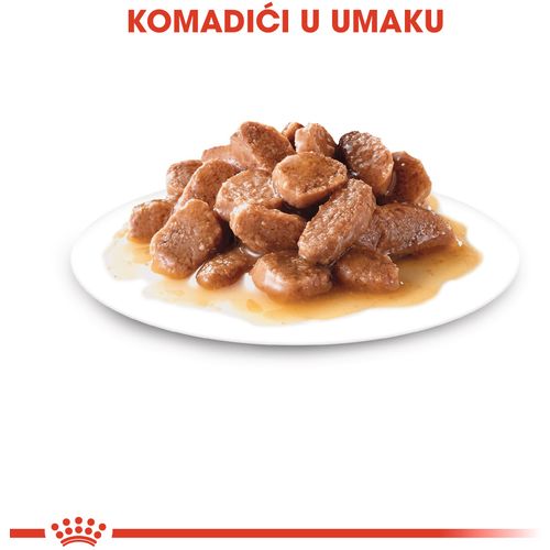 ROYAL CANIN FHN Instinctive Gravy, potpuna hrana u vrećici za  odrasle mačke, komadići u umaku, 12x85 g slika 8