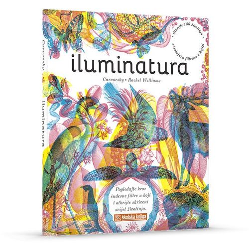 Iluminatura slika 2