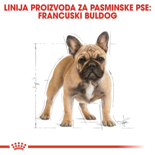 ROYAL CANIN BHN French Bulldog Adult, potpuna hrana za odrasle i starije pse pasmine francuski buldog, 3 kg slika 4