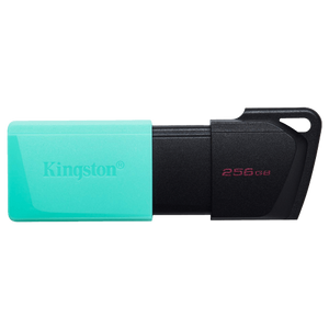 USB memorija KINGSTON DTXM 256GB