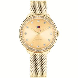 Ženski satovi Tommy Hilfiger DEMI (Ø 33 mm)