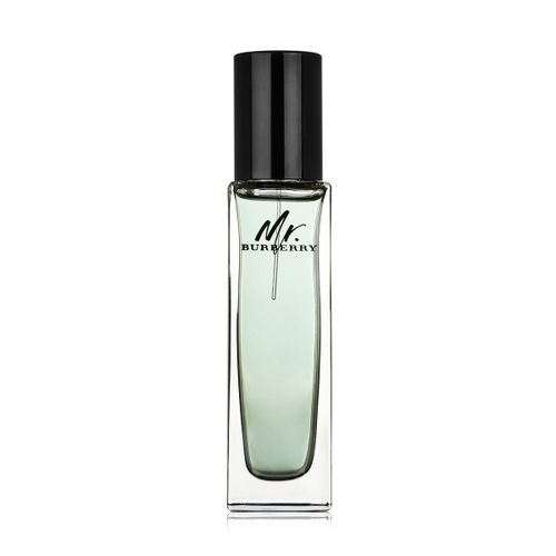 Burberry Mr. Burberry Eau De Toilette 30 ml za muškarce slika 1