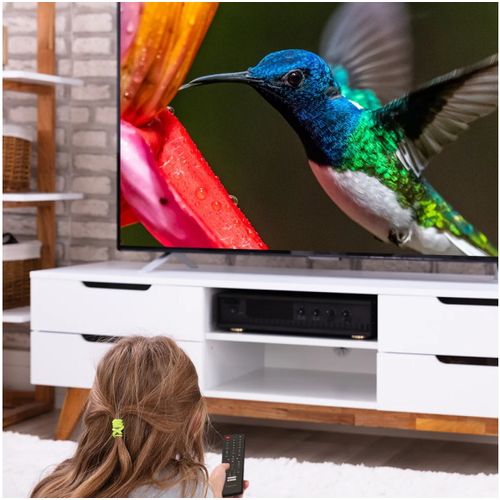 MANTA TV LED 24" HD, 220V+12V, HDMI, USB, CI+, COAX, miniAV, DVB-C/T2 24LHN122T slika 6