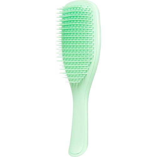 Tangle Teezer wet detangler neo mint četka za kosu slika 1