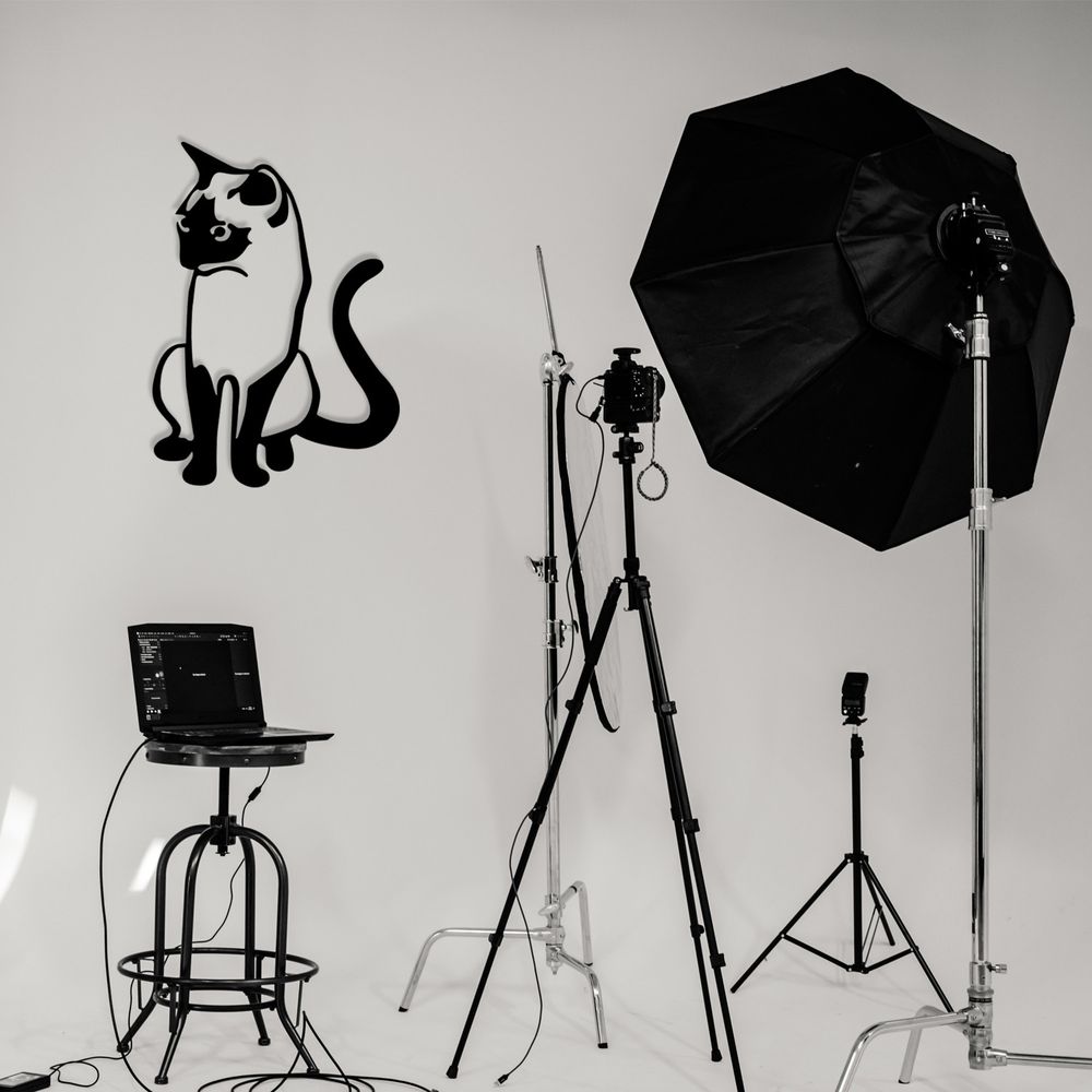Metalna Dekoracija za Zid 'Cat 2' u Crnoj Boji slika 2