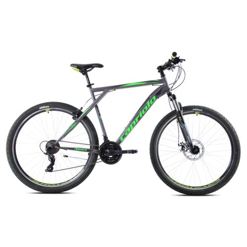 CAPRIOLO bicikl MTB ADRENALIN 29 silver green slika 4