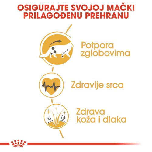 ROYAL CANIN FBN Maine Coon, potpuna i uravnotežena hrana za mačke, specijalno za odrasle mačke pasmine Maine Coon starije od 15 mjeseci, 2 kg slika 6