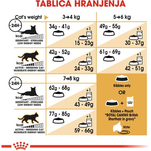 ROYAL CANIN FBN British Shorthair, potpuna i uravnotežena hrana za odrasle mačke, specijalno za britanske krtkodlake mačke starije od 12 mjeseci, 2 kg slika 4