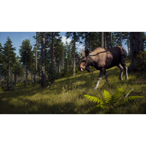 Way of the Hunter (PC) slika 7