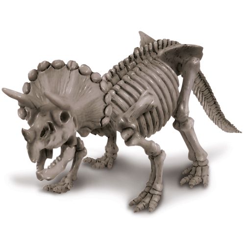 Dinosaur Triceratops slika 2