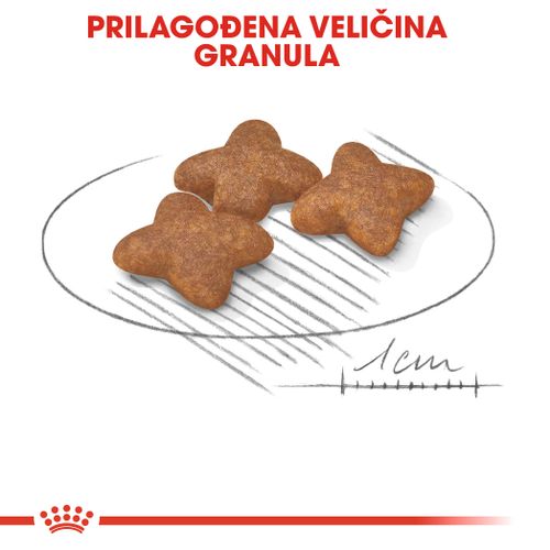 ROYAL CANIN SHN Mini Adult, potpuna hrana za pse, za odrasle pse malih pasmina (do 10 kg) starije od 10 mjeseci, 4 kg slika 7