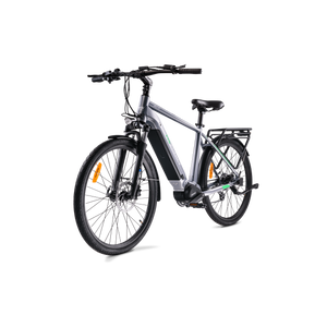 MS ENERGY eBike c101