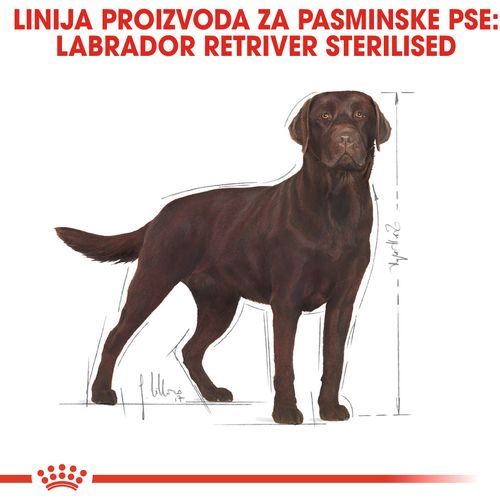 ROYAL CANIN BHN Labrador Adult Sterilised, potpuna hrana za odrasle sterilizirane labrador retrievere starije od 15 mjeseci, 12 kg slika 4