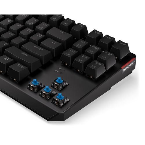 ENDORFY Thock TKL Blue RGB tastatura (EY5A001) slika 7