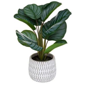 ATMOSPHERA UMJETNO CVIJEĆE U TEGLI MARANTA 45CM EVA/CEMENT ZELENO