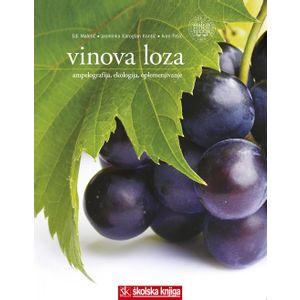  VINOVA LOZA - AMPELOGRAFIJA, EKOLOGIJA,  OPLEMENJIVANJE - Edi Maletić, Jasminka Karoglan Kontić,  Ivan  Pejić