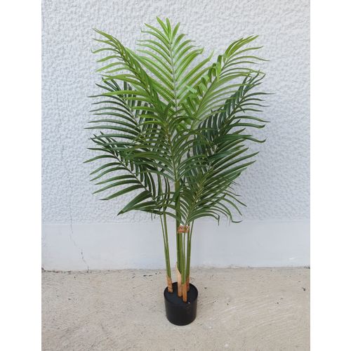 Lilium dekorativna palma Areka 120cm 567276  slika 3