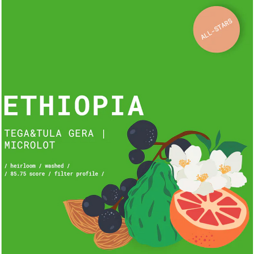 GOAT Story, Ethiopia Tega&Tula Gera Washed kava, French Press, 250g slika 1
