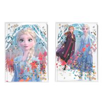 Disney Frozen 2 Dnevnik s Vodeno Efektom