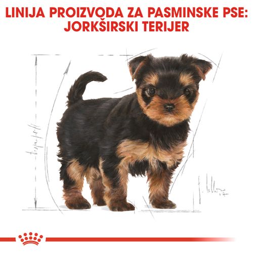 ROYAL CANIN BHN Yorkshire Terrier PUPPY, posebno za štence pasmine jorkširski terijer, do 10 mjeseci, 1,5 kg slika 4