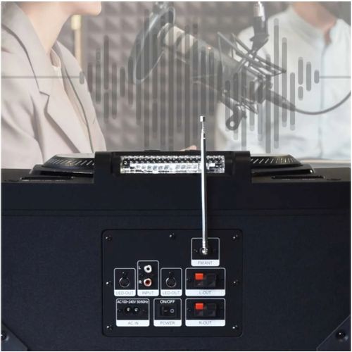 MANTA karaoke, 100W, modularne, FM, BT, USB, SD, bež mik, daljinsk, crni SPK5520 slika 9