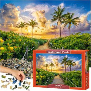 Castorland puzzle Miami 3000kom.