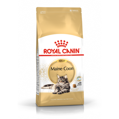 ROYAL CANIN FBN Maine Coon, potpuna i uravnotežena hrana za mačke, specijalno za odrasle mačke pasmine Maine Coon starije od 15 mjeseci, 400 g slika 1