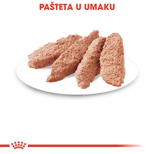 ROYAL CANIN FHN Instinctive Loaf, potpuna hrana u vrećici za  odrasle mačke, pašteta, 12x85 g slika 7