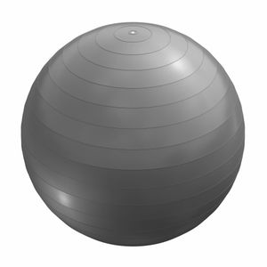 Lopta za pilates (55 cm / Siva)